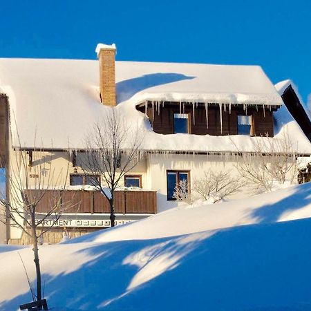 Apartments In Harrachov/Riesengebirge 2300 Екстериор снимка
