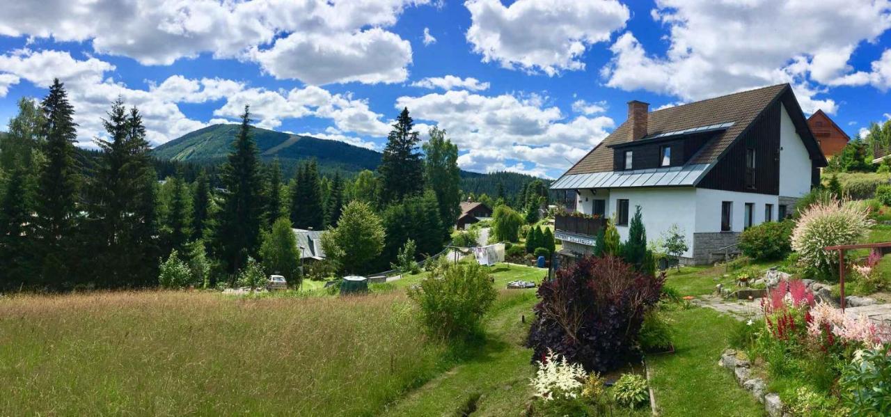 Apartments In Harrachov/Riesengebirge 2300 Екстериор снимка